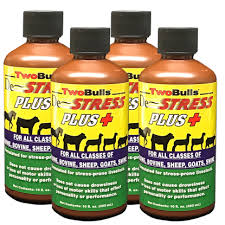 Two bulls de stress